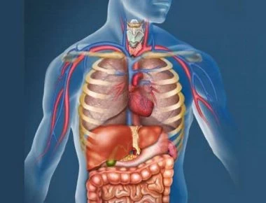 Αυτό είναι το σημείο του σώματος που σου αποκαλύπτει πόσα χρόνια θα ζήσεις